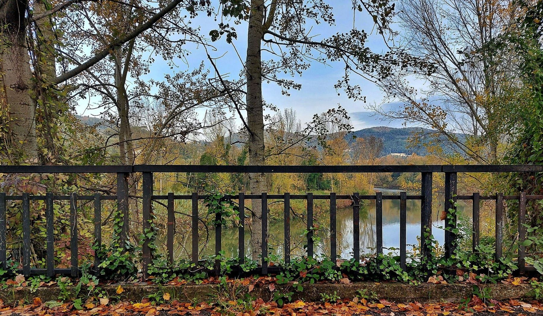 L'Arno in autunno con i lungarni e gli alberi ingialliti