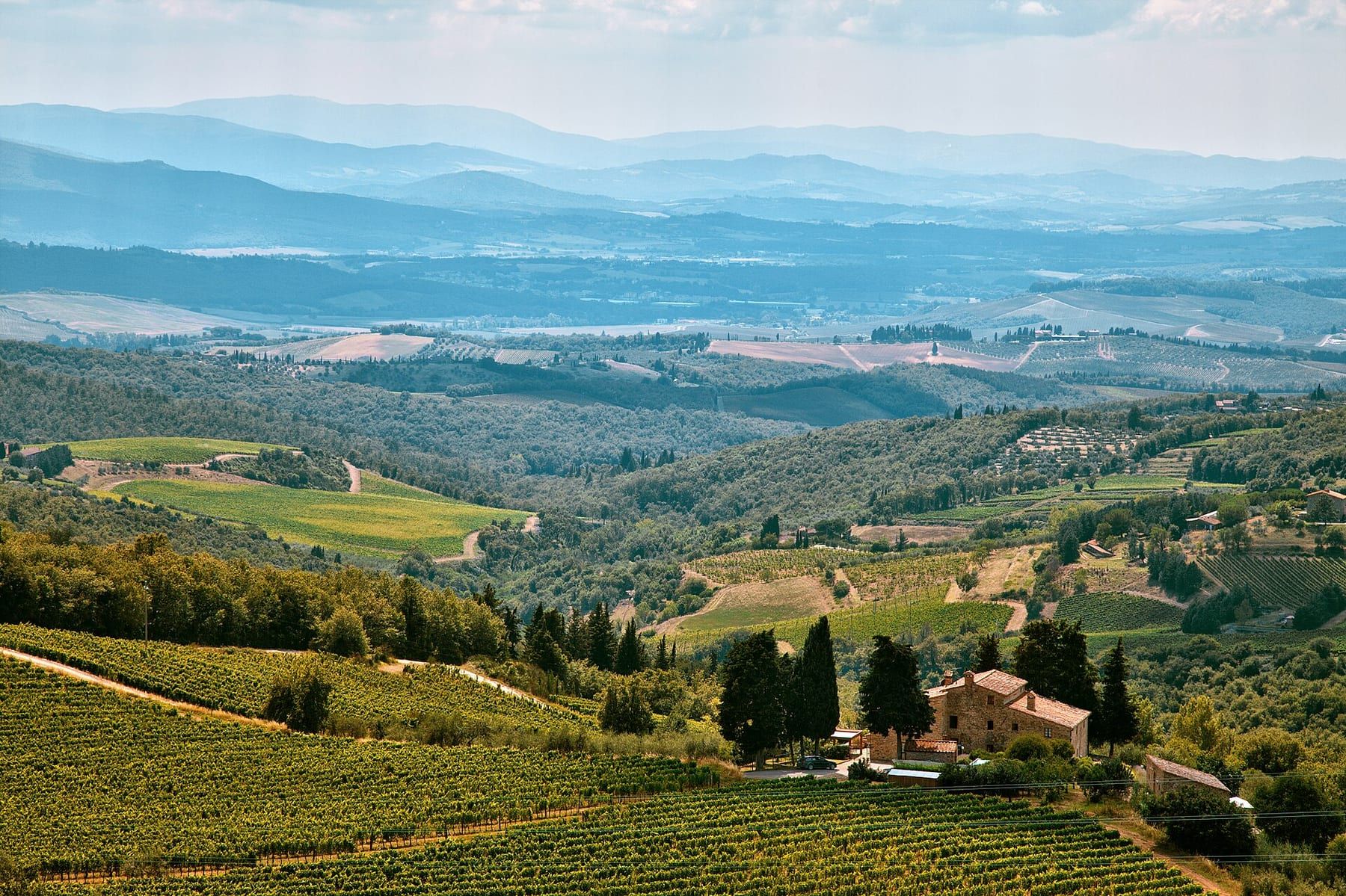 Le colline del Chianti: mezza giornata e due cantine è il formato più venduto