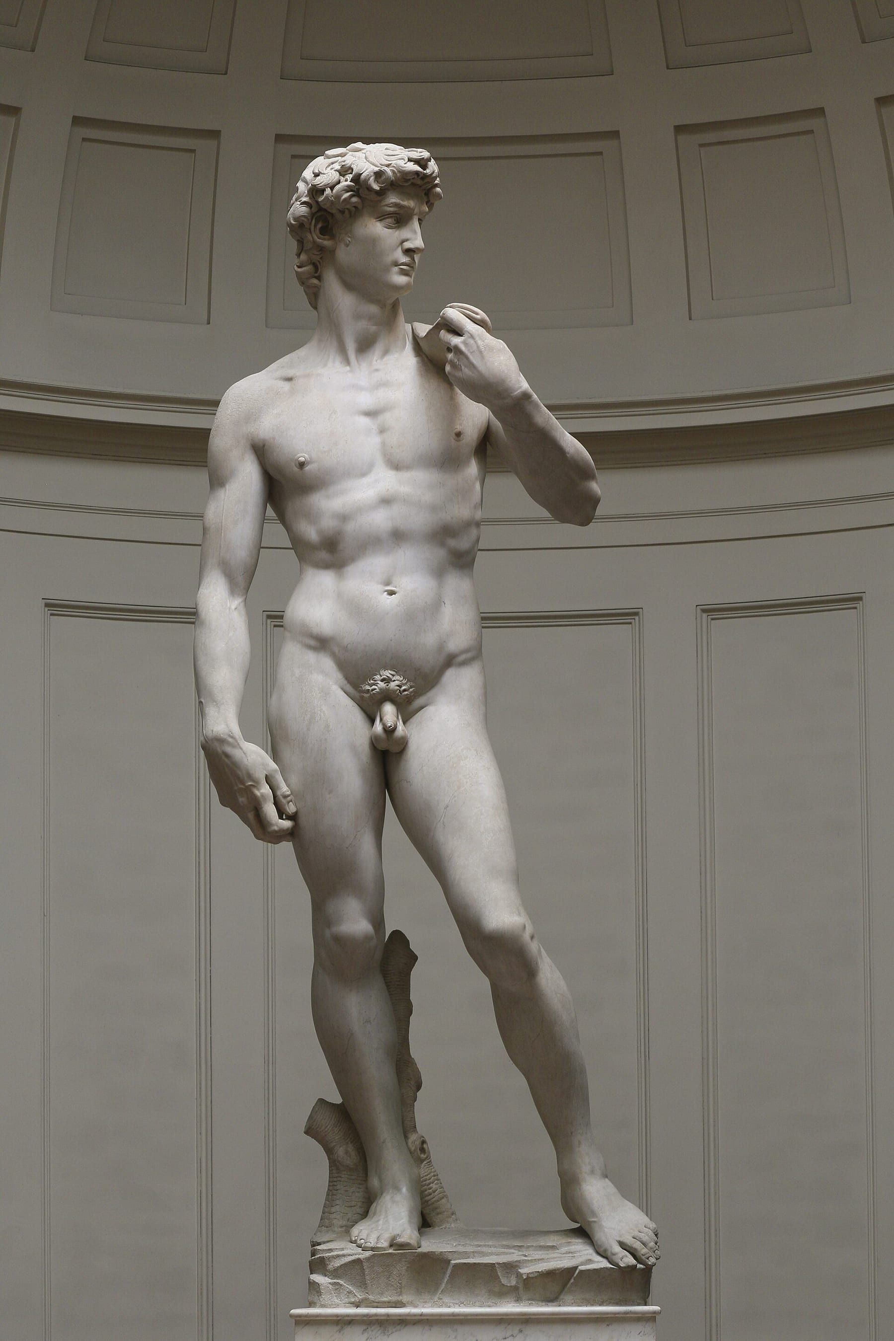 Michelangelo's David under the dome of the Tribune, Accademia Gallery